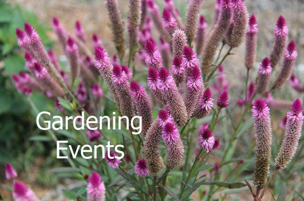 Gardening events