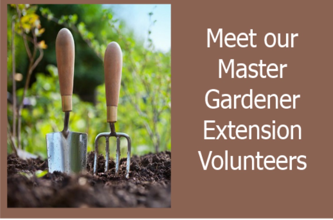 Meet our Master Gardener Extension Volunteers