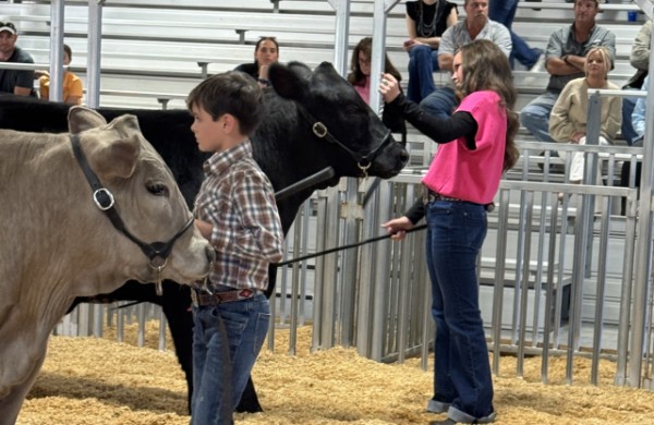 Bacon County 4-H/FFA Livestock Show