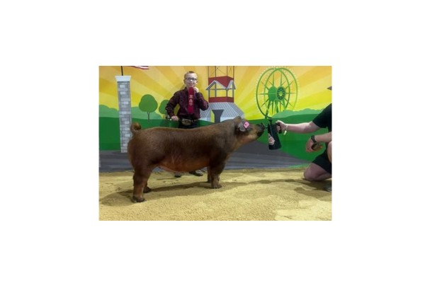 4H'er-with-his-pig-and-ribbon-at-the-Georgia-national-fair