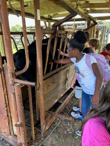 4-H Farm Days 2024