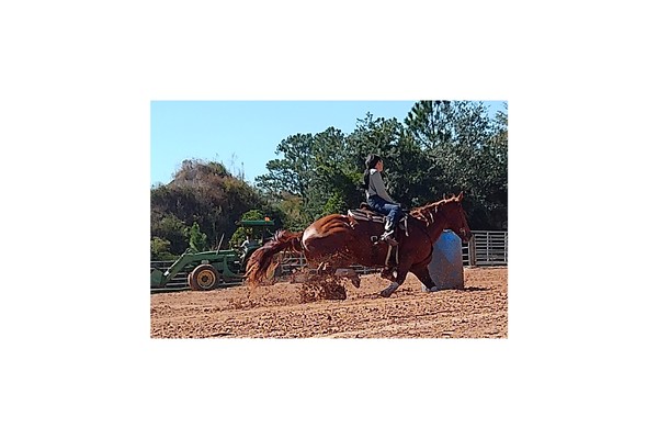 Charlton County 2nd Annual Barrel Dash