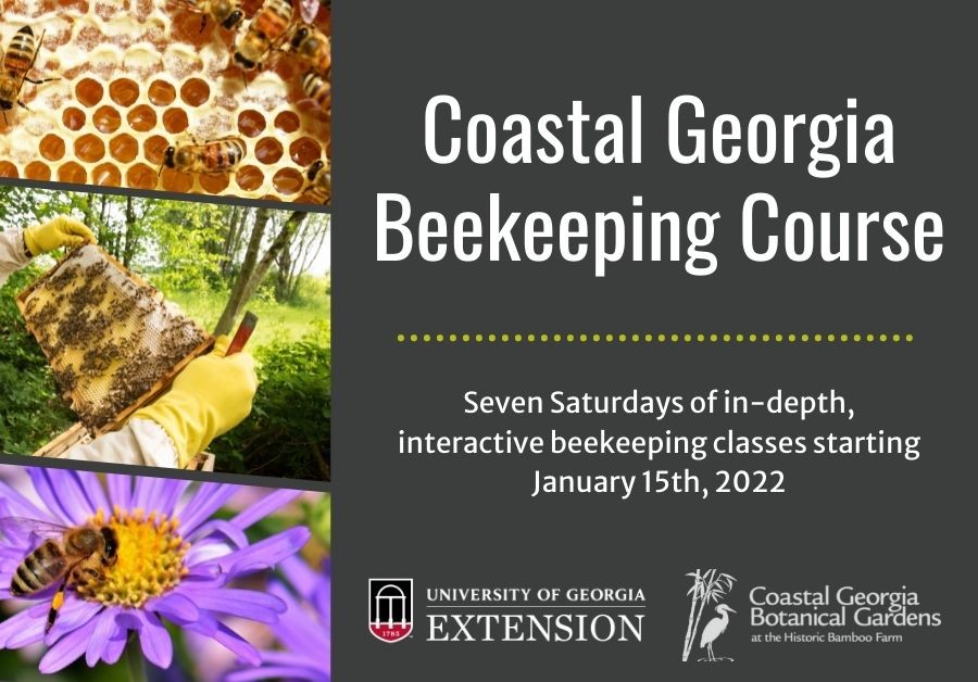 Coastal Empire Beekeepers Association - Home