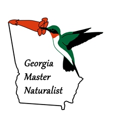 Georgia Master Naturalist logo of the outline of Georgia with a hummingbird drinking from a flower