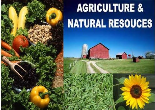 agriculture food and natural resources
