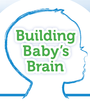 Building Baby's Brain series logo