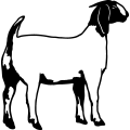 Silhouette of a goat