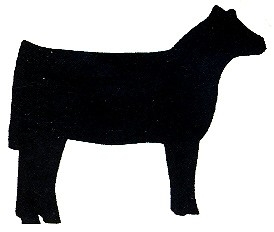 Silhouette of cattle