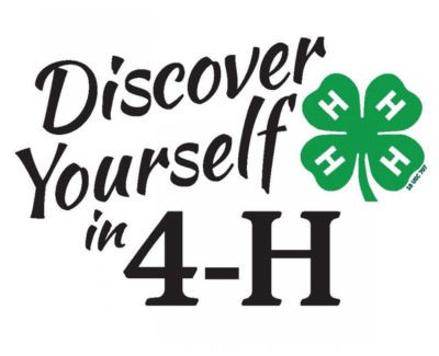 Discover yourself in 4-H