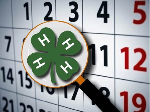Calendar, Newsletters, 4-H Forms, and Upcoming Events | Irwin County