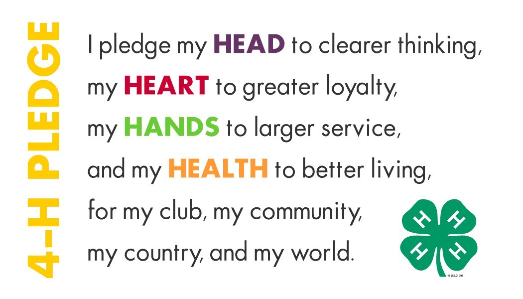 4-H Pledge. I pledge my head to clearer thinking, my heart to greater loyalty, my hands to a larger service, and my health to better living, for my club, my community, my country, and my world.