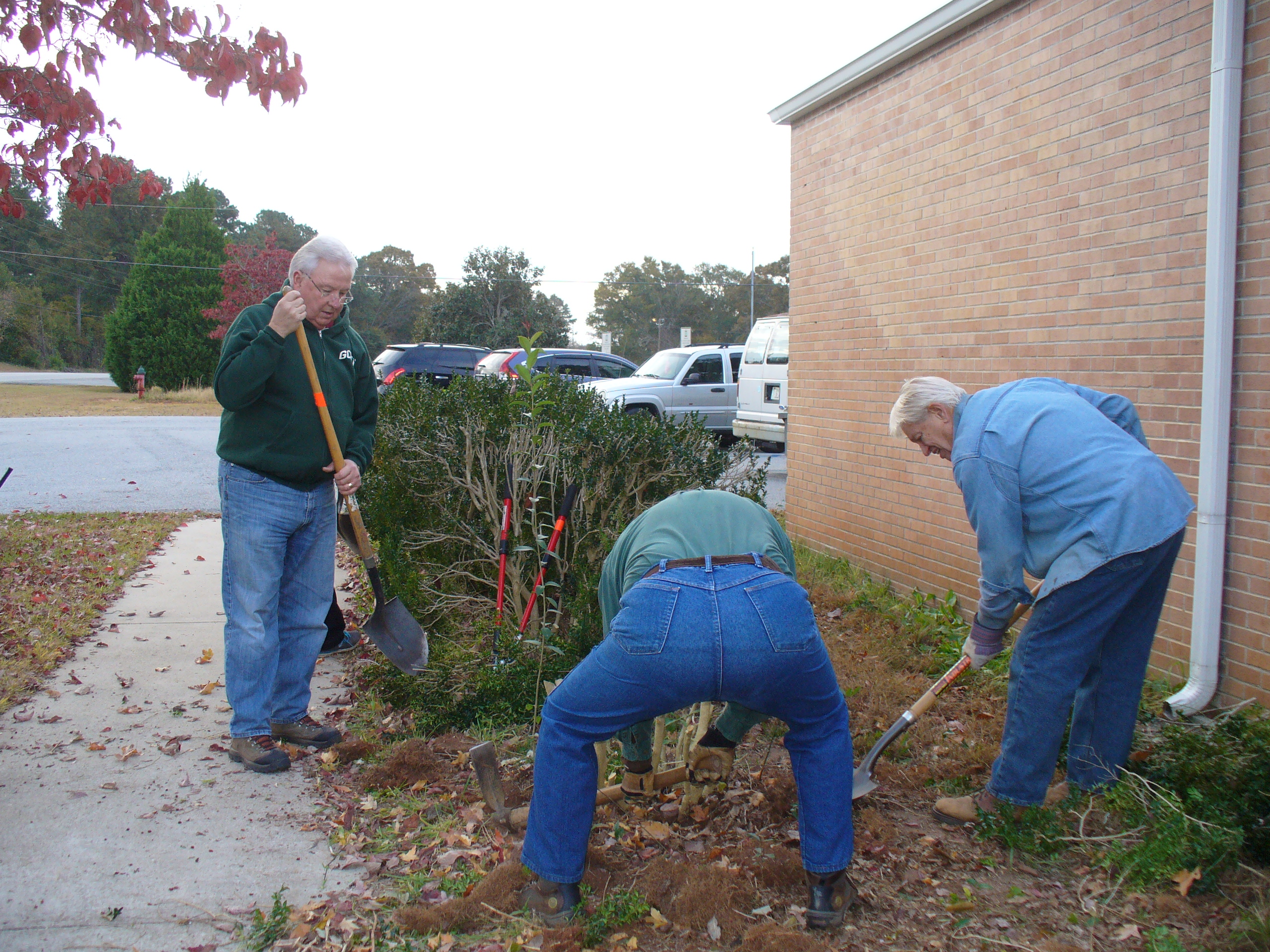 Master Gardener Extension volunteers remove bushes from a landscaping bed