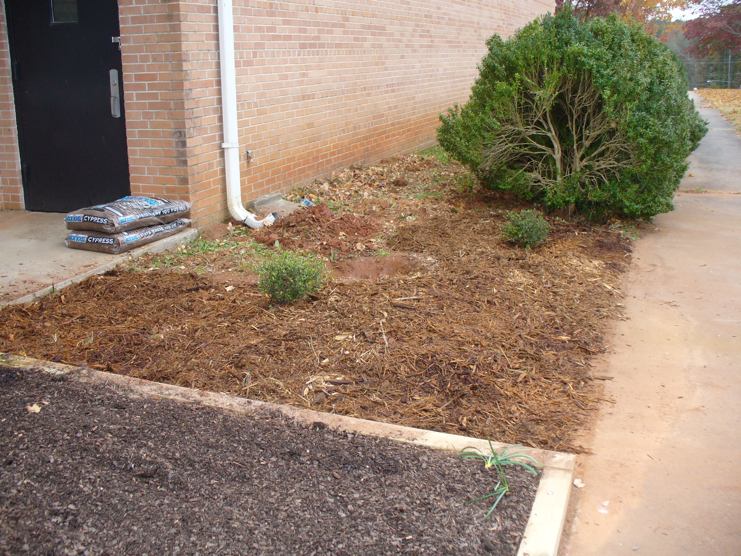 Landscaping bed partly planted with bushes