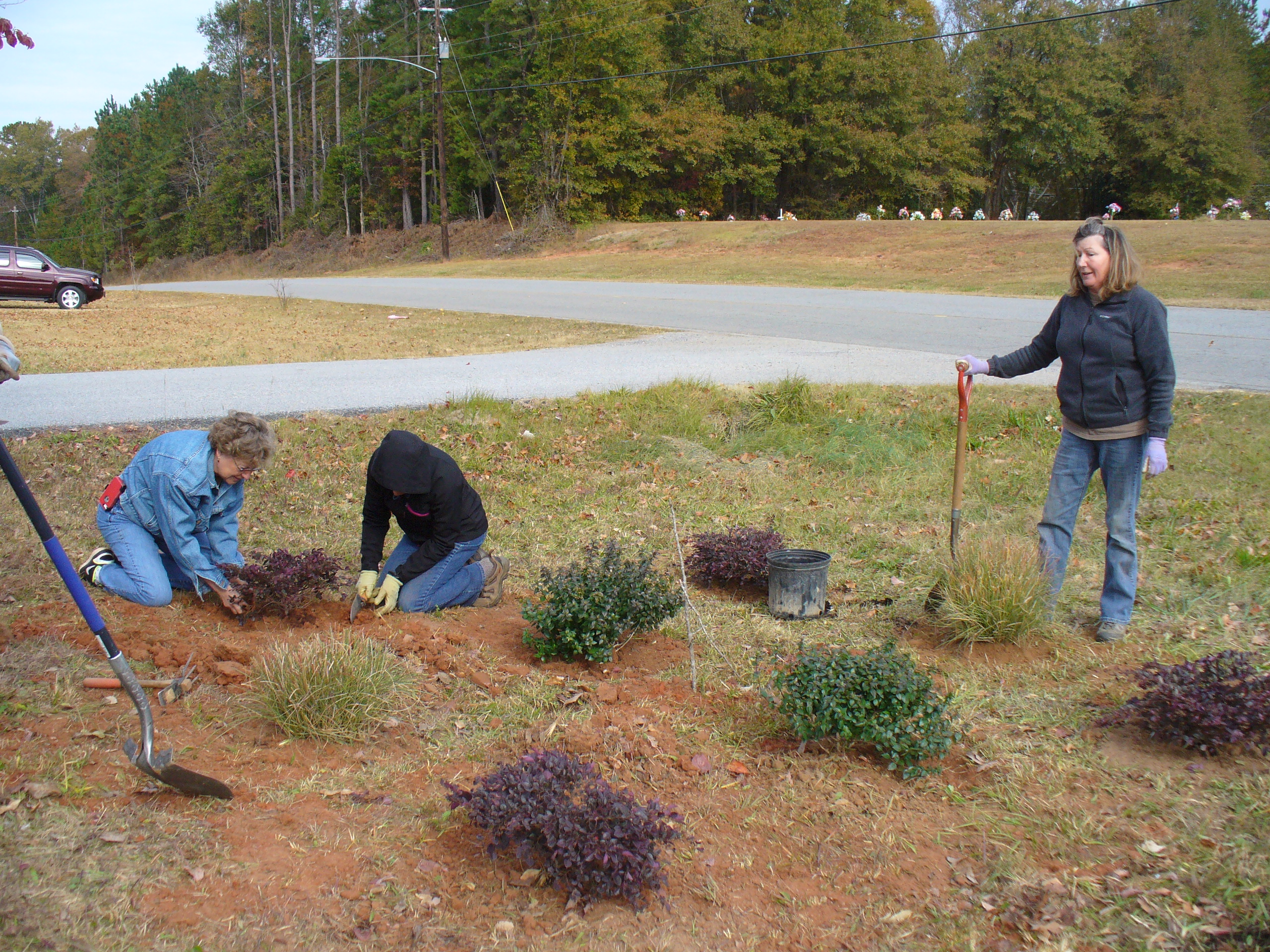 Master Gardener Extension volunteers planting shrubs