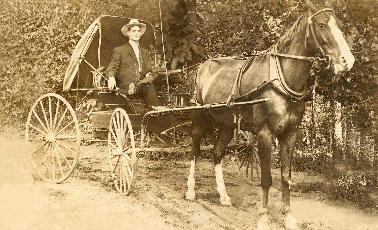 Man in a horse drawn carriage