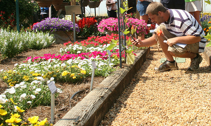 Home Gardening  UGA Cooperative Extension